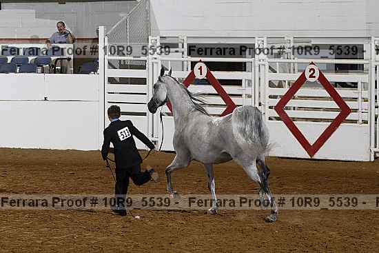 Proof 10r9_5539