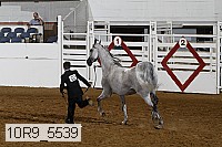 10r9_5539 proof