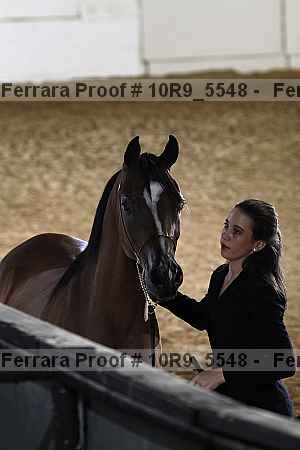 Proof 10r9_5548