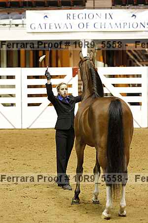 Proof 10r9_5558