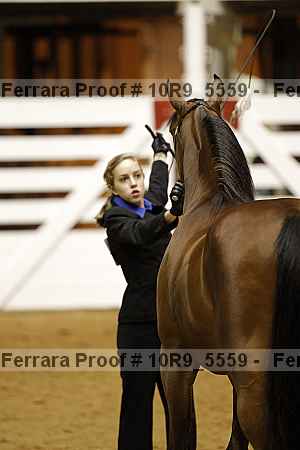 Proof 10r9_5559