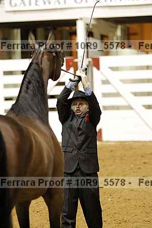 Proof 10r9_5578