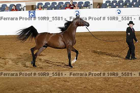 Proof 10r9_5581