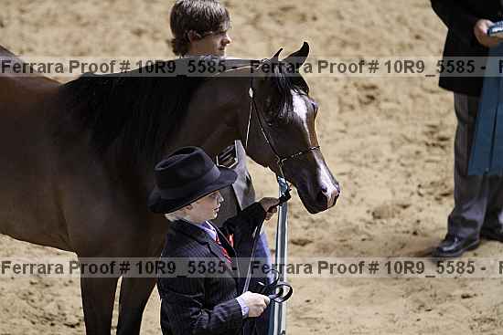 Proof 10r9_5585