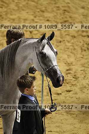 Proof 10r9_5587