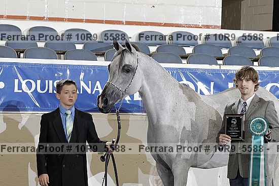 Proof 10r9_5588