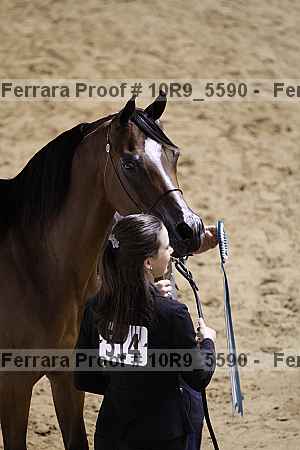 Proof 10r9_5590