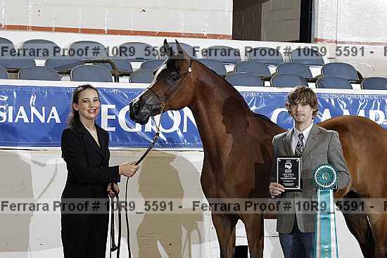Proof 10r9_5591