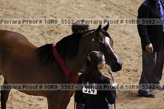 Proof 10r9_5592