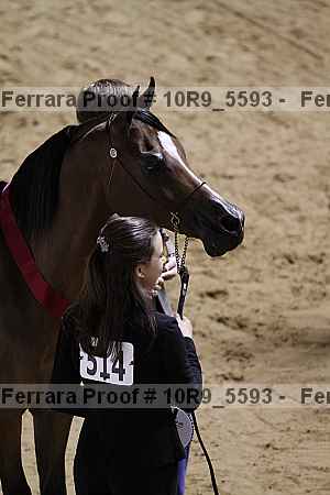 Proof 10r9_5593