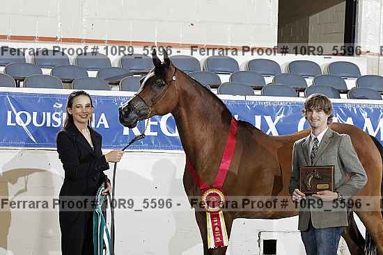 Proof 10r9_5596