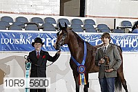 10r9_5600 proof