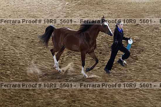 Proof 10r9_5601