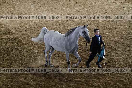 Proof 10r9_5602