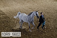 10r9_5602 proof