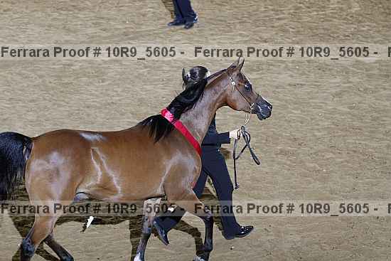 Proof 10r9_5605