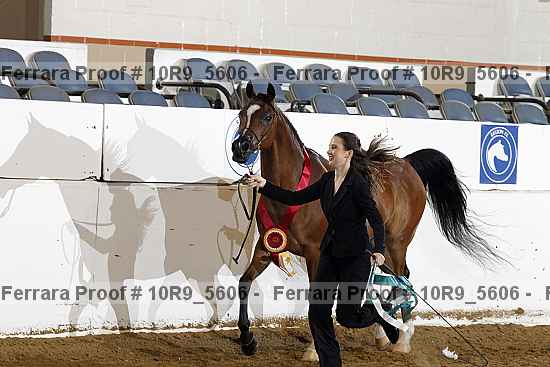 Proof 10r9_5606