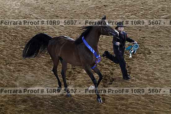 Proof 10r9_5607