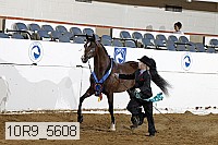 10r9_5608 proof