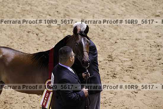 Proof 10r9_5617