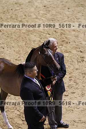 Proof 10r9_5618