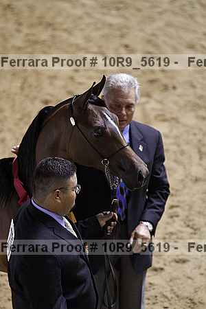 Proof 10r9_5619