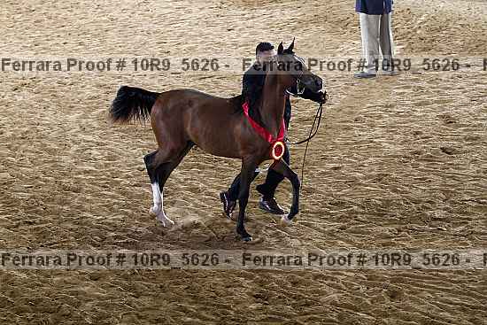 Proof 10r9_5626