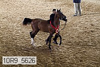 10r9_5626 proof