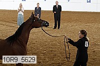 10r9_5629 proof