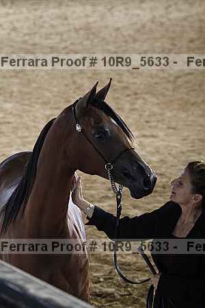 Proof 10r9_5633
