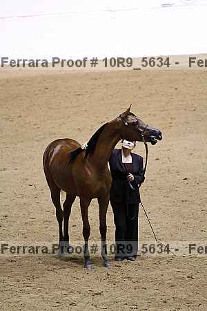 Proof 10r9_5634