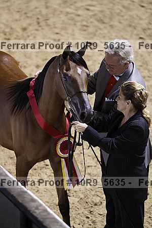 Proof 10r9_5635