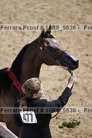 Proof 10r9_5636