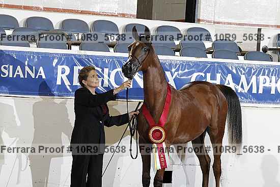 Proof 10r9_5638