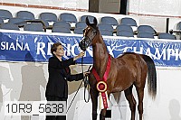 10r9_5638 proof
