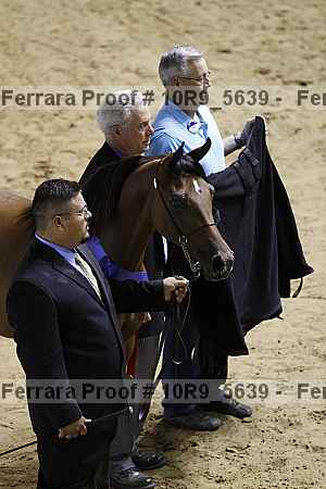 Proof 10r9_5639