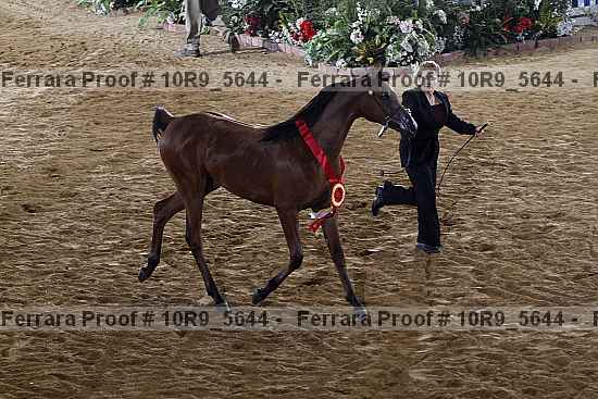 Proof 10r9_5644