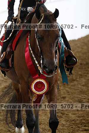 Proof 10r9_5702