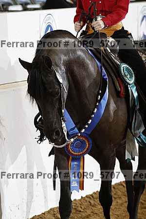 Proof 10r9_5707