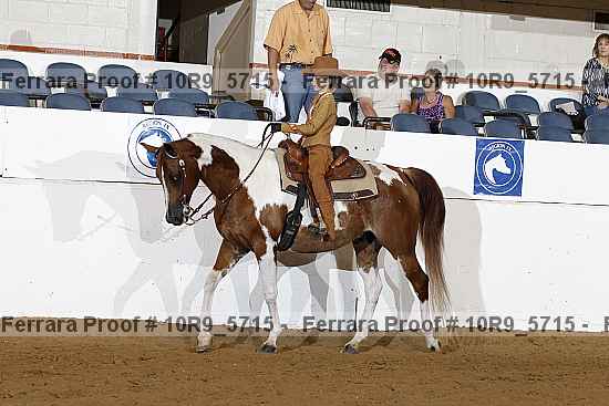 Proof 10r9_5715