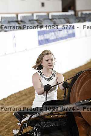 Proof 10r9_5774
