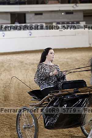 Proof 10r9_5779