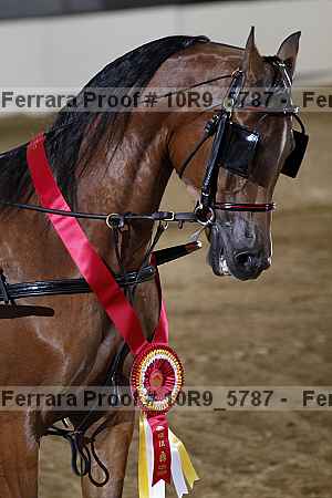 Proof 10r9_5787