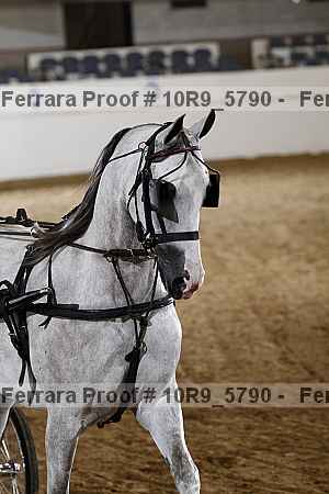 Proof 10r9_5790