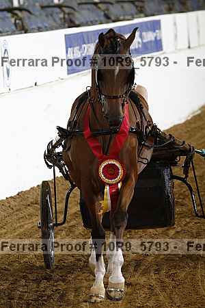 Proof 10r9_5793