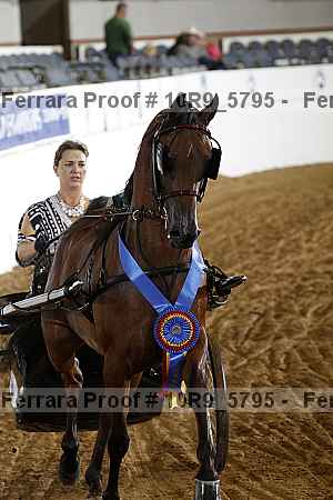 Proof 10r9_5795