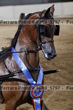 Proof 10r9_5797