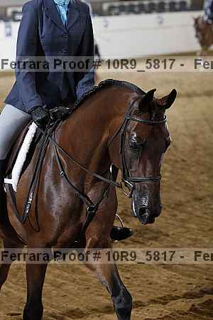 Proof 10r9_5817