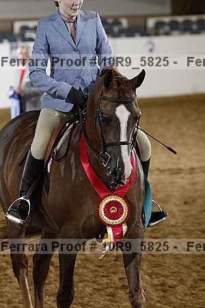 Proof 10r9_5825