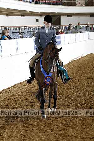 Proof 10r9_5826